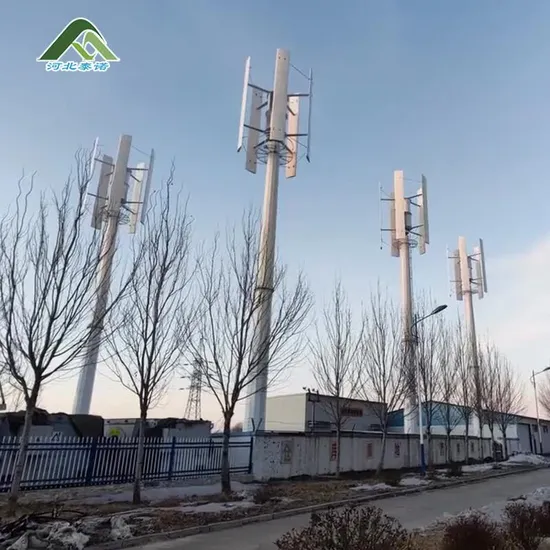 Tainuo 1kw 2kw 3kw 5kw Customizable China Homes Small Wind Turbine